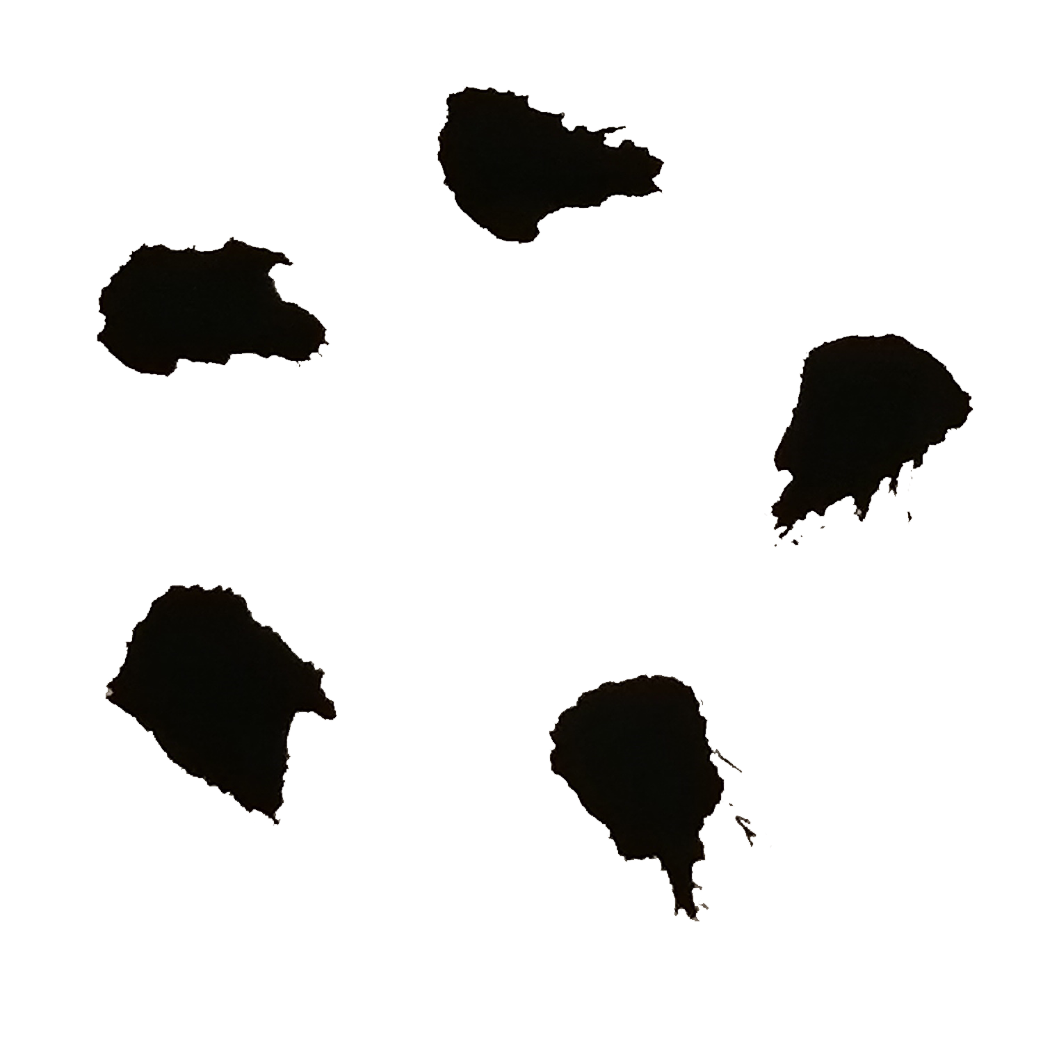 This image for Image Layouts addon